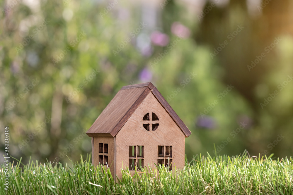 Model house in the meadow with grass