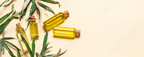 Organic essential oils in glass bottles and sea buckhorn leaves on light background with copy space for your text. Natural ingredients for spa, relax and homemade cosmetics. photo