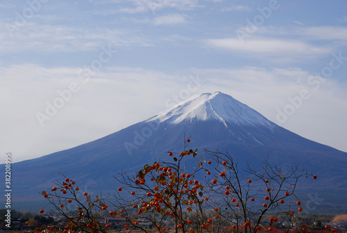 富士と柿 © Paylessimages