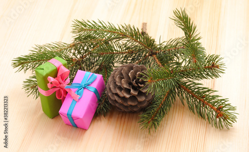 Green branches of pine with a bump.