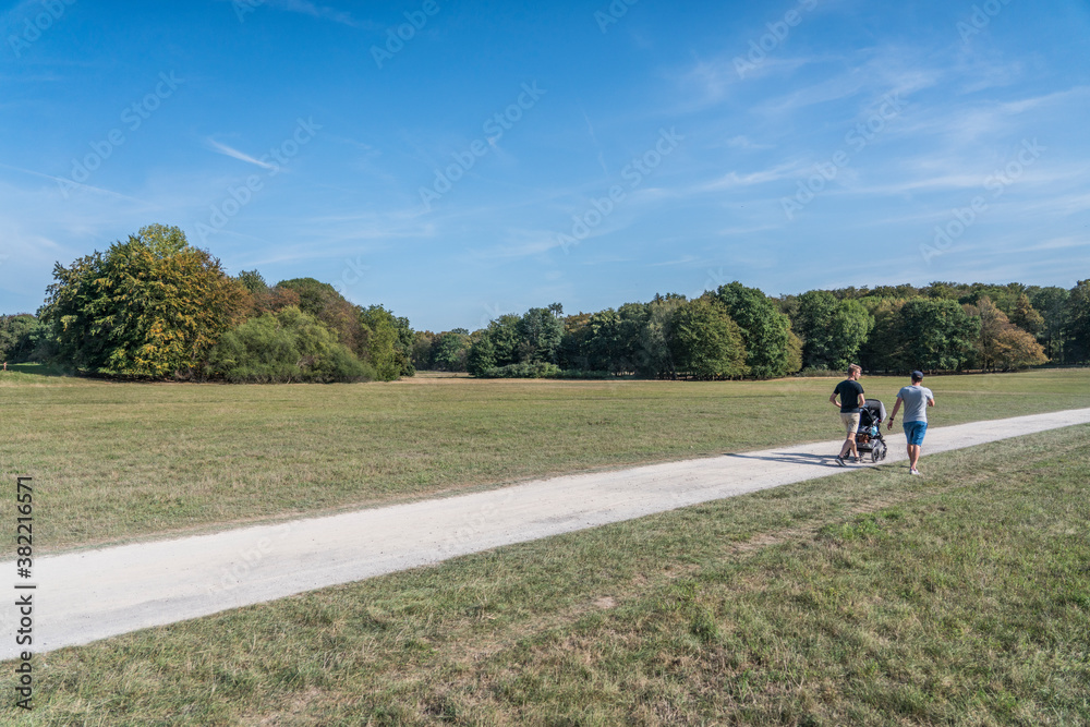 Fototapeta premium urban park in cologne city forest