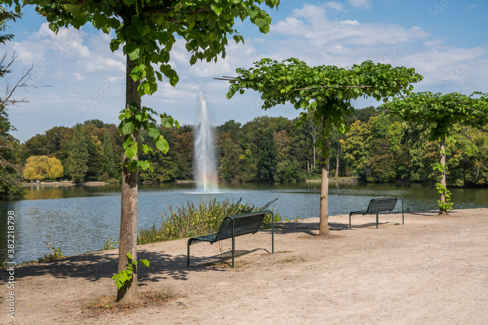 Obraz premium urban park in cologne city forest