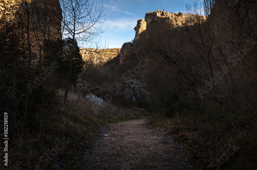 Trekking path among the trees of the gorges of the sweet river, Pelegrina, Guadalajara, Spain