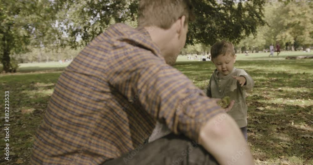 Toddler in park giving chestnut to Father in autumn under tree in sun
