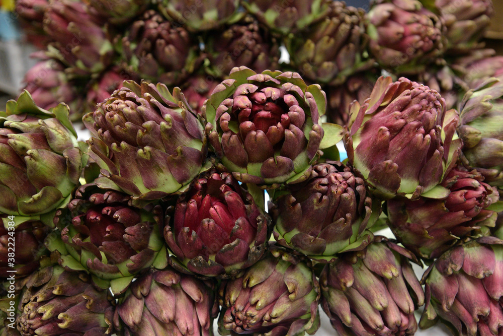 Fototapeta premium Artichoke bud 