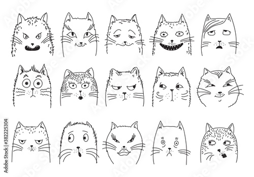 impromptu heads of cats express different emotions. set of vector sketches
