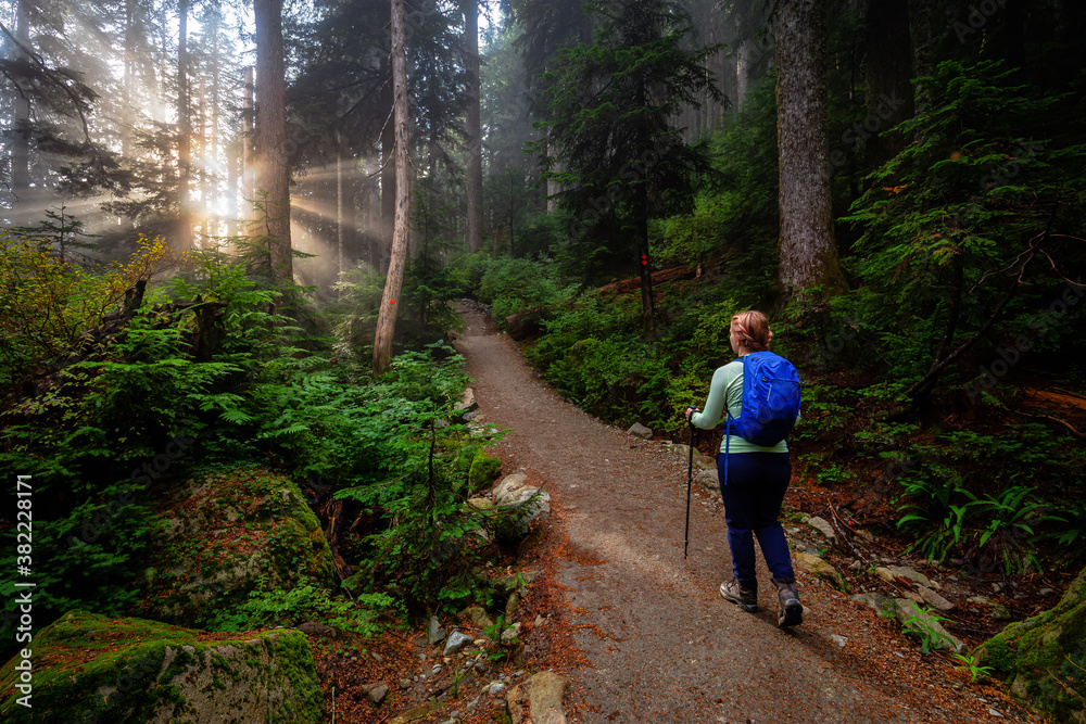 Girl Outdoor Hiking on a Trail in the Woods with Sunny Sunrays coming between the trees. Taken in Cypress Provincial Park, West Vancouver, British Columbia, Canada.