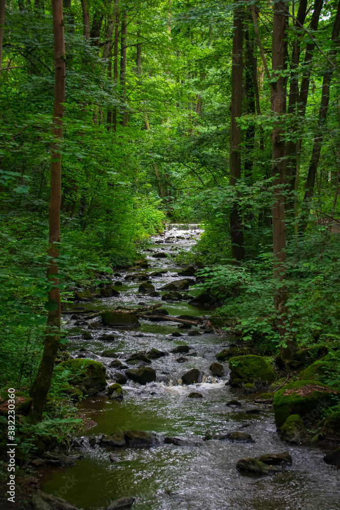 River Stropnice in Tercino Valley, Czech republic River Stropnice in Tercino Valley, Czech republic