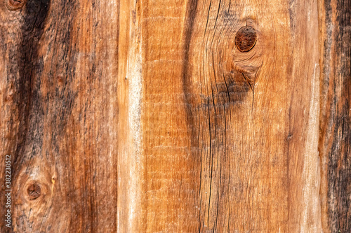 Wood texture. Tree close-up texture background. Wooden floor or table or wall with a natural pattern