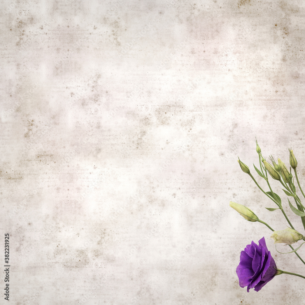textured old paper background with dark violet eustoma flowers and buds textured old paper background with dark violet eustoma flowers and buds