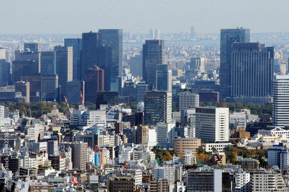 Fototapeta premium 東京の街並み