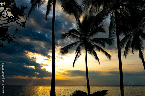 Sunrise at Itaparica Beach on the Brazilian coast, Bahia. Wooded beach with coconut trees and blue sea. photo
