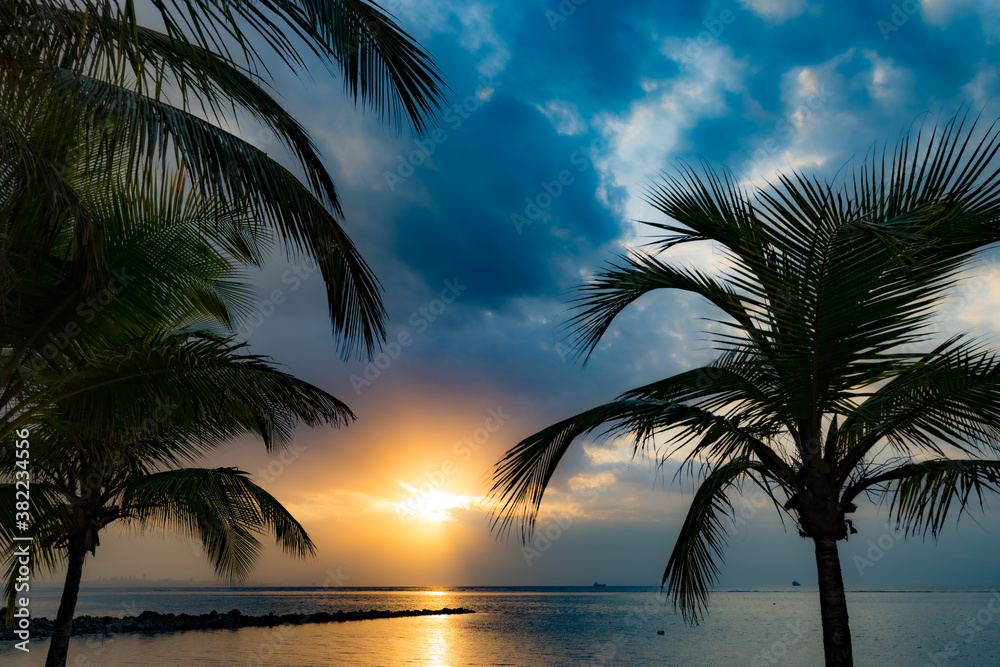 Sunrise at Itaparica Beach on the Brazilian coast, Bahia. Wooded beach with coconut trees and blue sea.