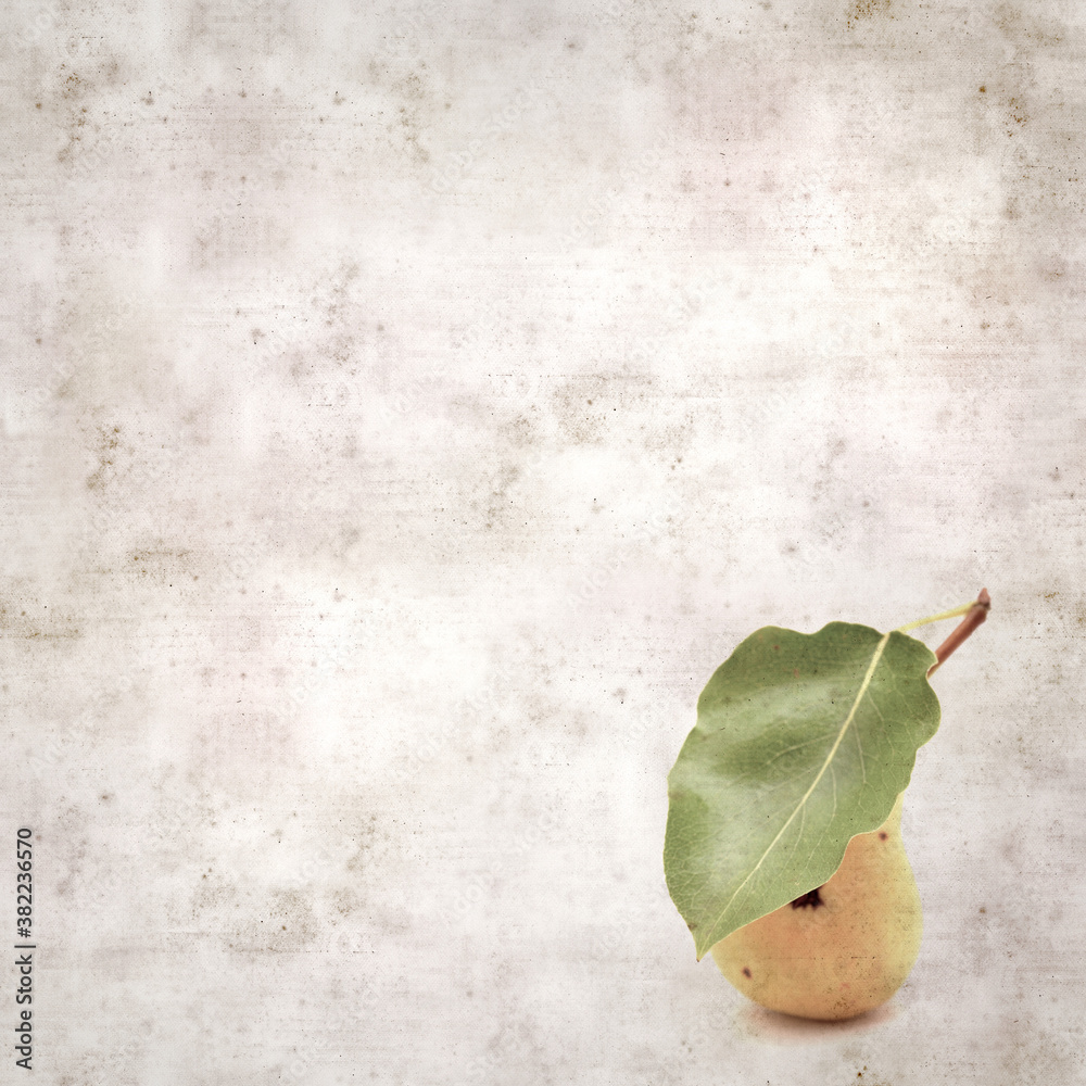 Textured old paper background, square, with small yellow wild pear Textured old paper background, square, with small yellow wild pear