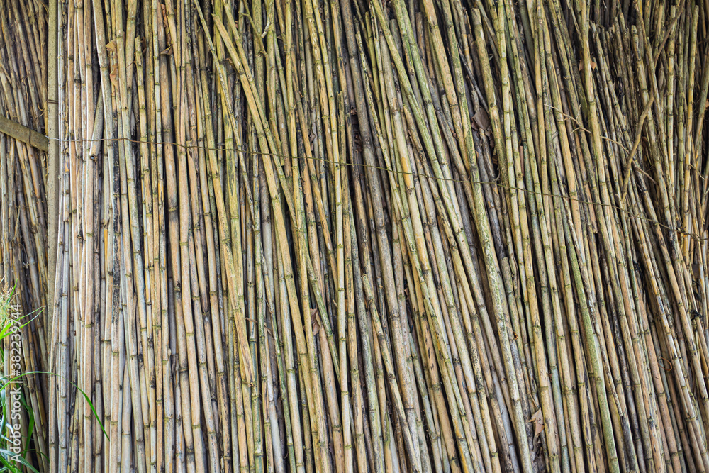 Many bamboo logs together on a wood texture background Many bamboo logs together on a wood texture background