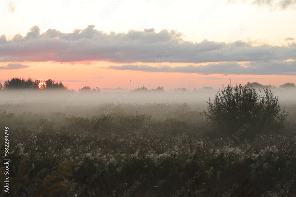 morning with fog morning with fog
