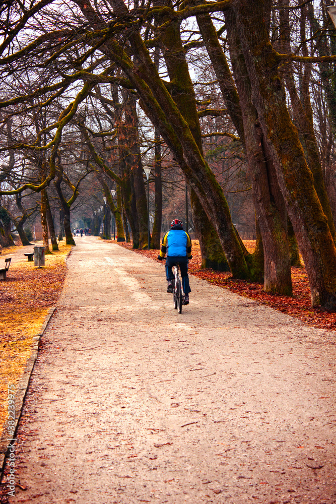 Cyclist pedals in autumnal park.
