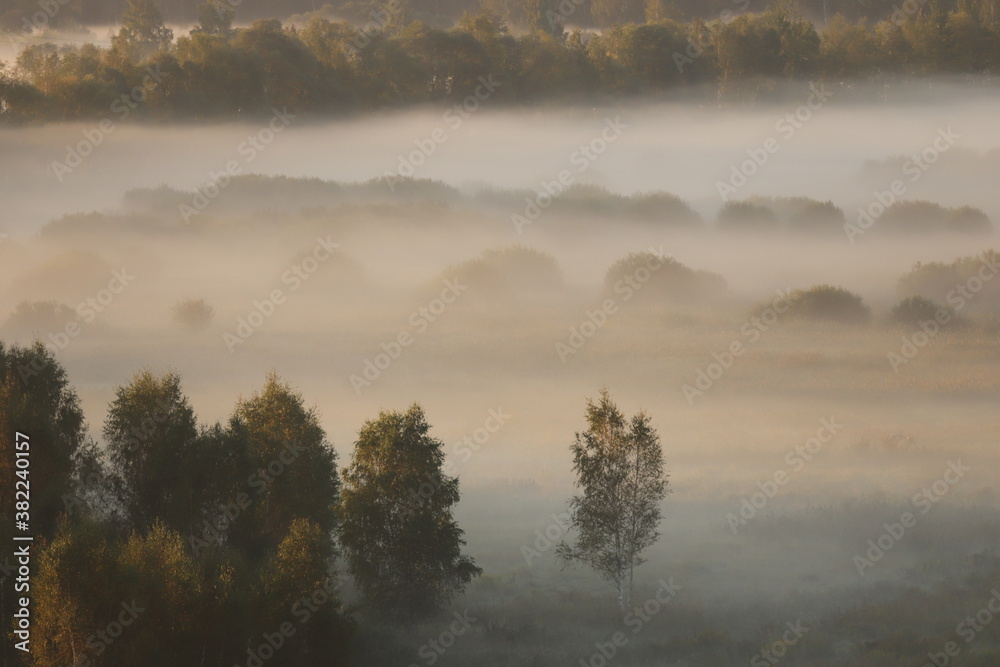 Obraz premium morning with fog