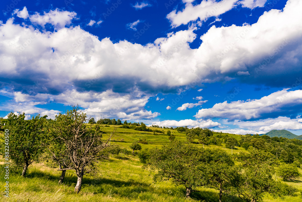 Obraz premium Greben hill by the Danube river in Serbia