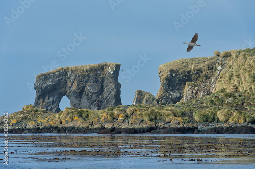 Undine Harbour, South Georgia, South Georgia and the Sandwich Islands