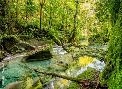 Reach Falls River, Portland Parish, Jamaica, West Indies, Caribbean, Central America photo