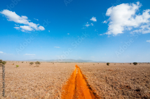 Trail in the Savannah, Tsavo West National Park, Kenya photo