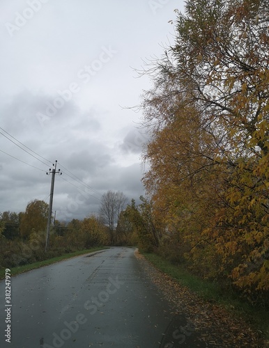 road in autumn