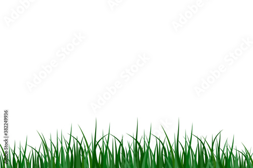 Green grass white background. Summer lawn. Detailed grass. Vector illustration. Stock photo.