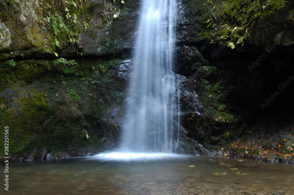 Fototapeta premium 七代の滝