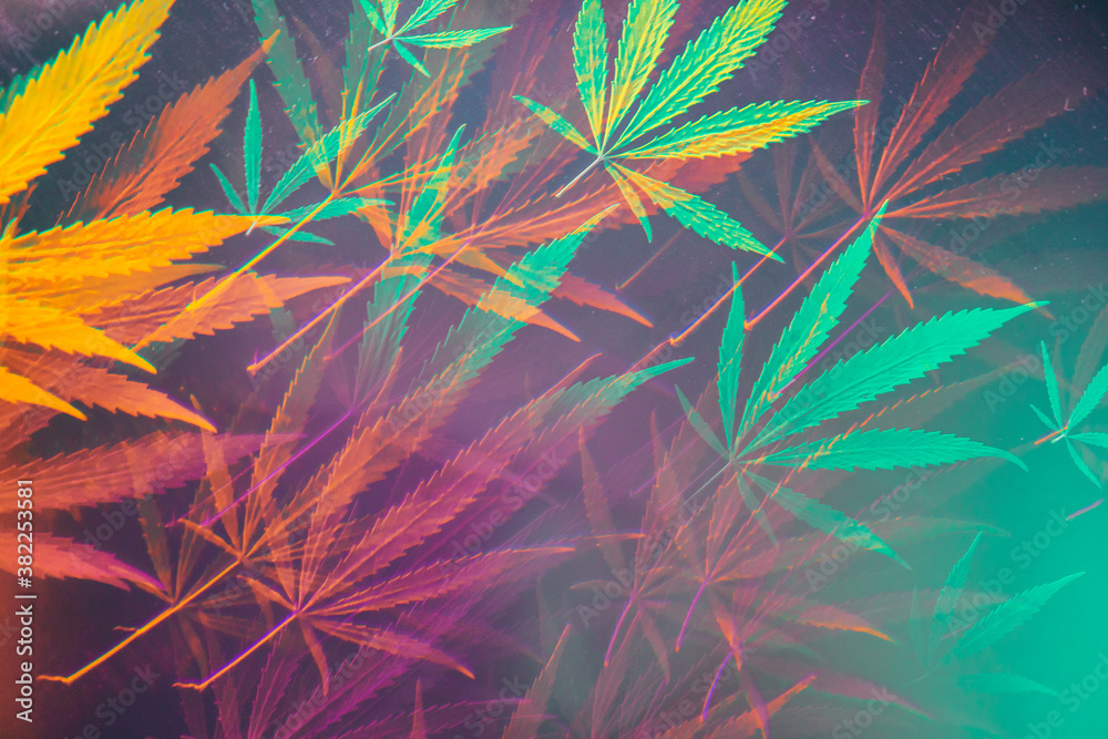 Premium Photo  Marijuana leaf on abstract background psychedelic weed  cannabis