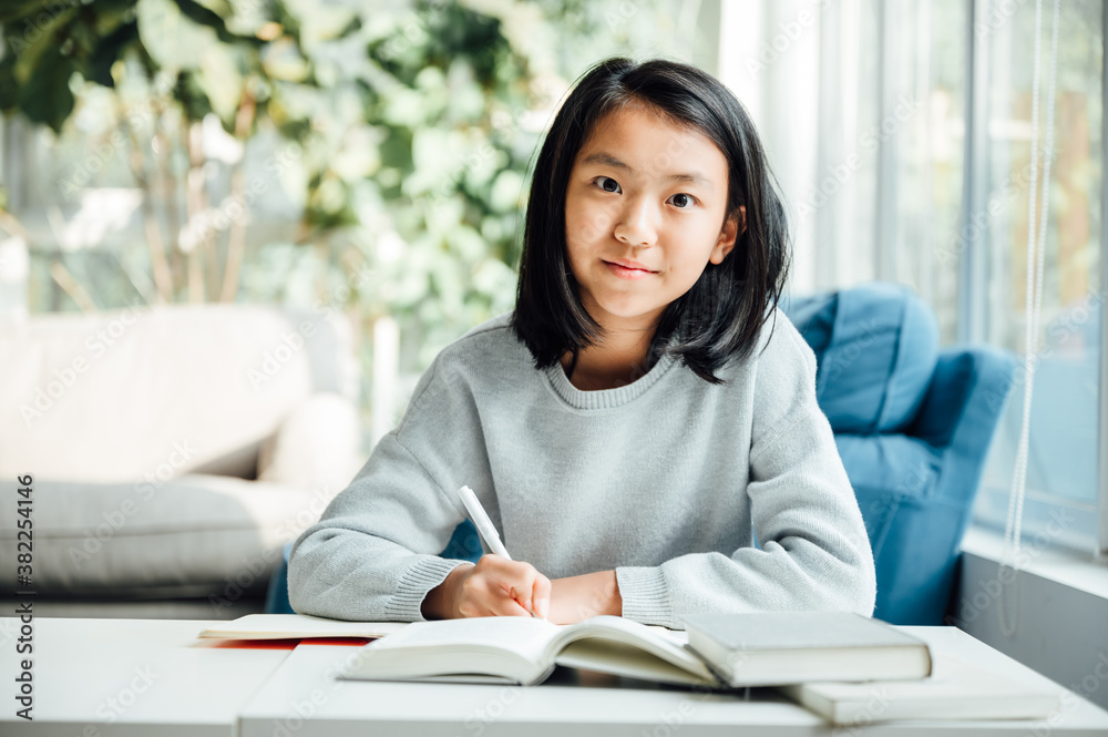 Teenager girl doing homework at home Teenager girl doing homework at home