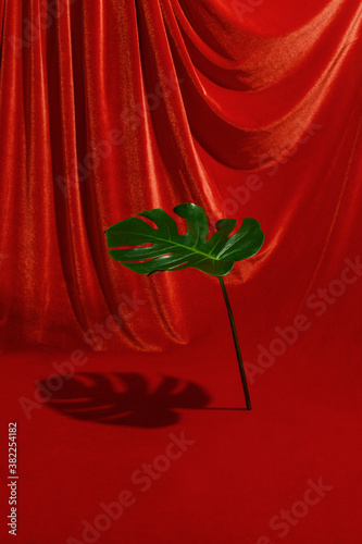 Flora Form