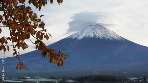 Mount Fuji and Kawaguchi lake in fall. Beautiful concentric clouds over its crater. Colorful maple tree in foreground. photo