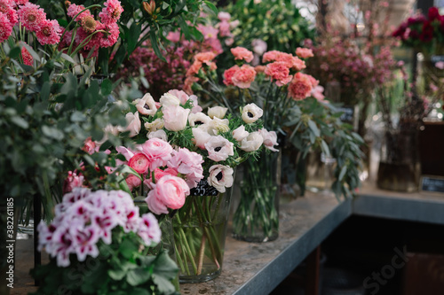 Wallpaper Mural Greenhouse plants Torontodigital.ca