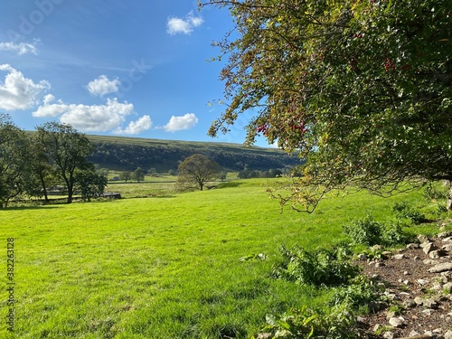 Looking across, Littondale , with fields, meadows, old trees, and a blue sky near, Hawkswick, Skipton, UK photo