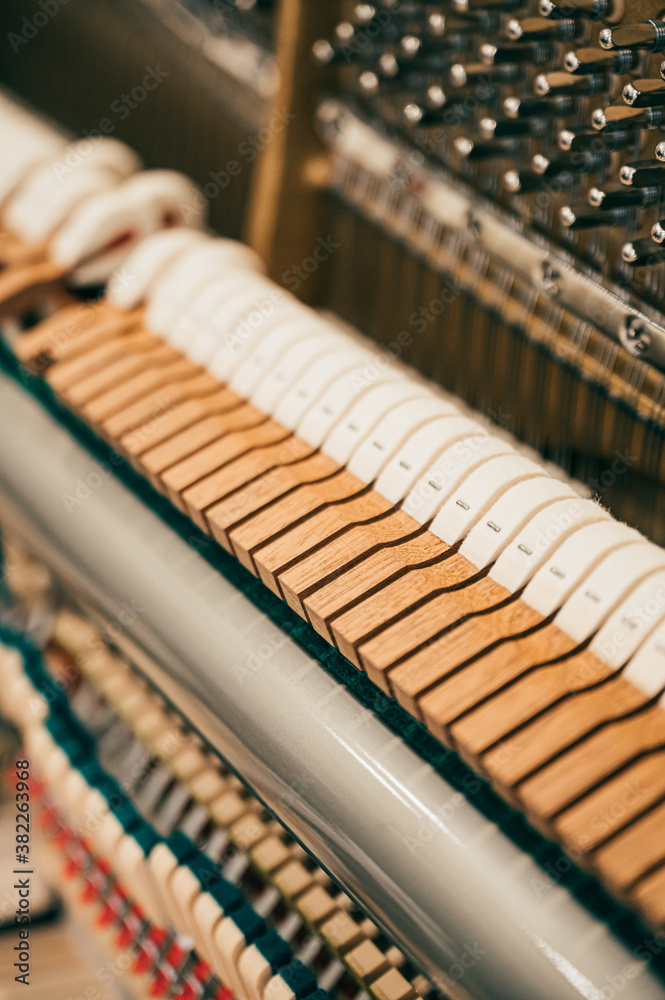 Inside of Piano Inside of Piano