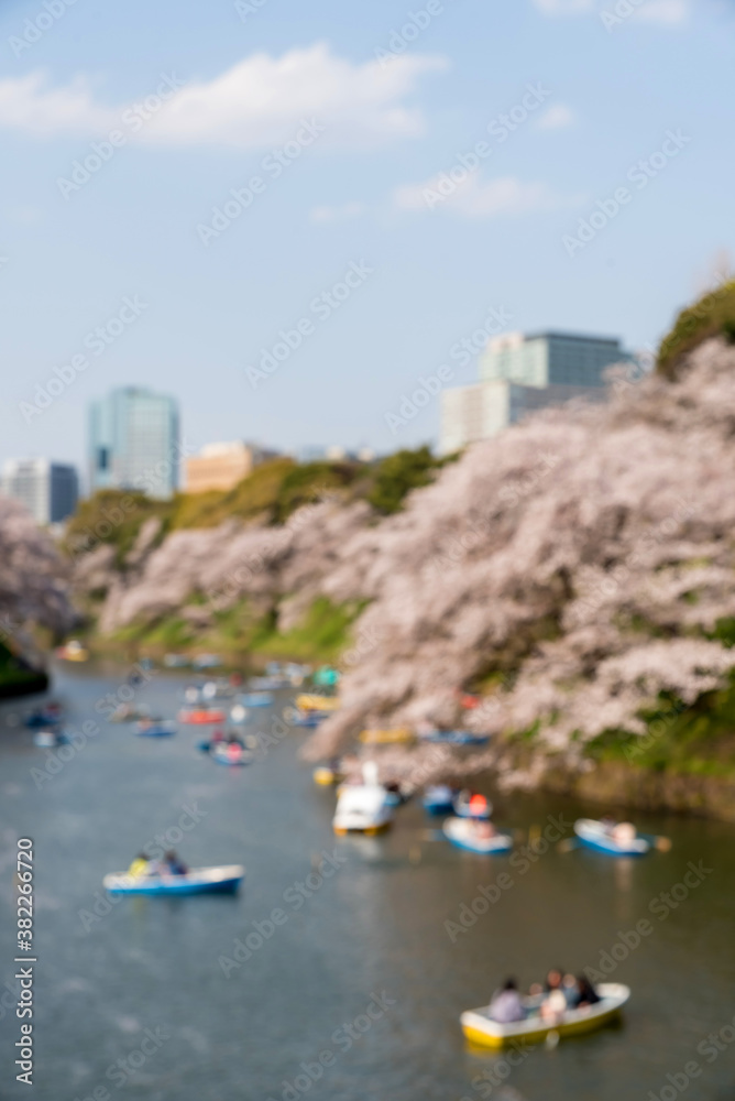 Cherry blossoms (know as Sakura) and boats around Chidorigafuchi Park in Tokyo,Japan Cherry blossoms (know as Sakura) and boats around Chidorigafuchi Park in Tokyo,Japan