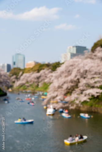 Cherry blossoms (know as Sakura) and boats around Chidorigafuchi Park in Tokyo,Japan photo