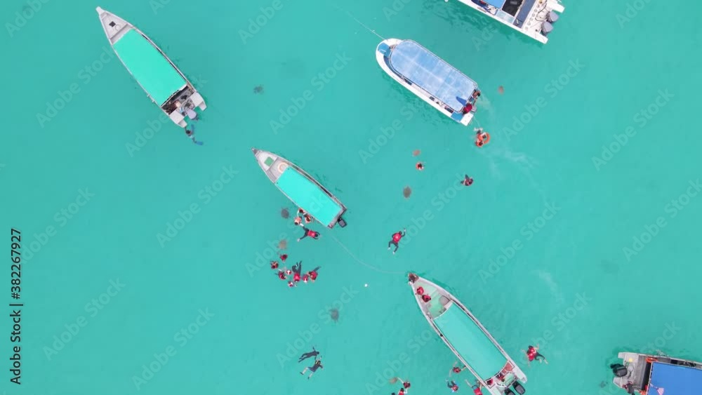Top down aerial view of people snorkeling at turtle point in the crystal clear sea water