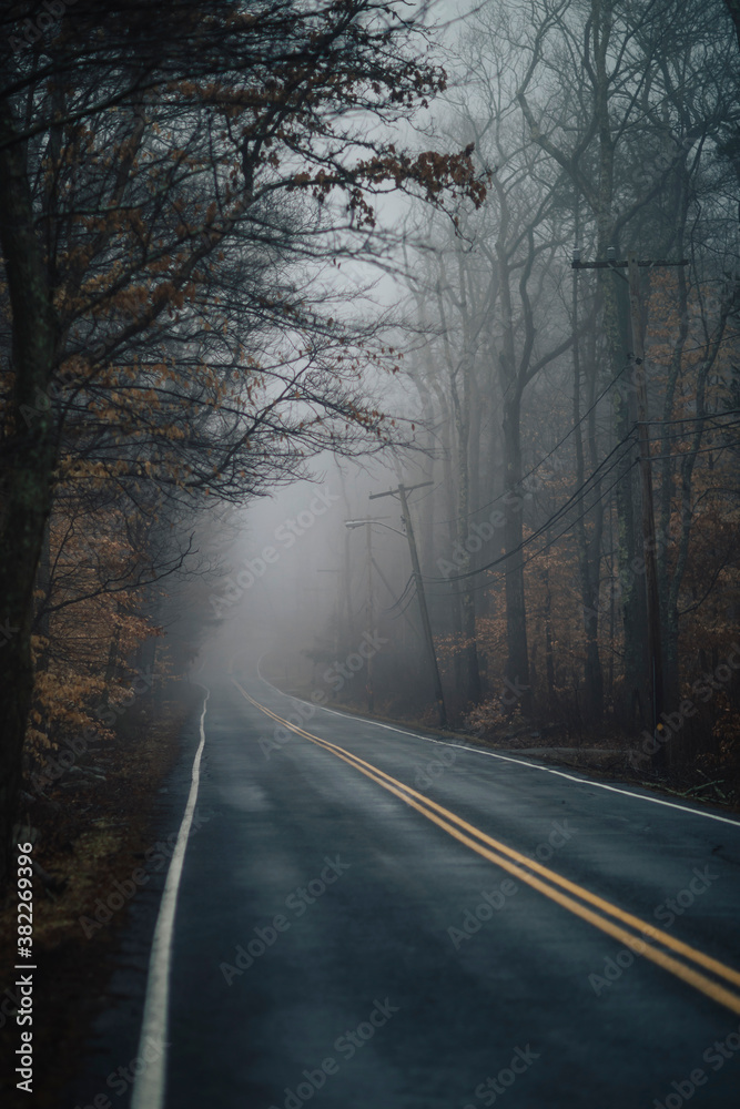 Rural Road with Moody Fog Rural Road with Moody Fog