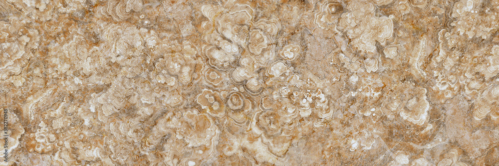 polished onyx marble with high resolution, Panorama of brown marble background with natural stripe for elegant design, Terracotta beige marbel, Closeup Italian onyx slab or emperador grunge stone. polished onyx marble with high resolution, Panorama of brown marble background with natural stripe for elegant design, Terracotta beige marbel, Closeup Italian onyx slab or emperador grunge stone.