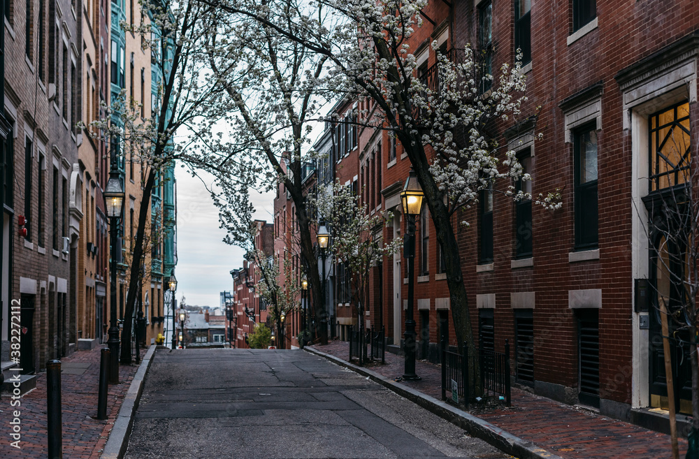 Beacon Hill Neighborhood