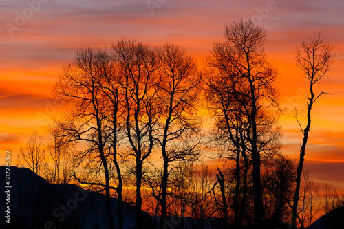 colorful sunrise and silhouetted trees framed in mountain canyon, flathead valley, Montana