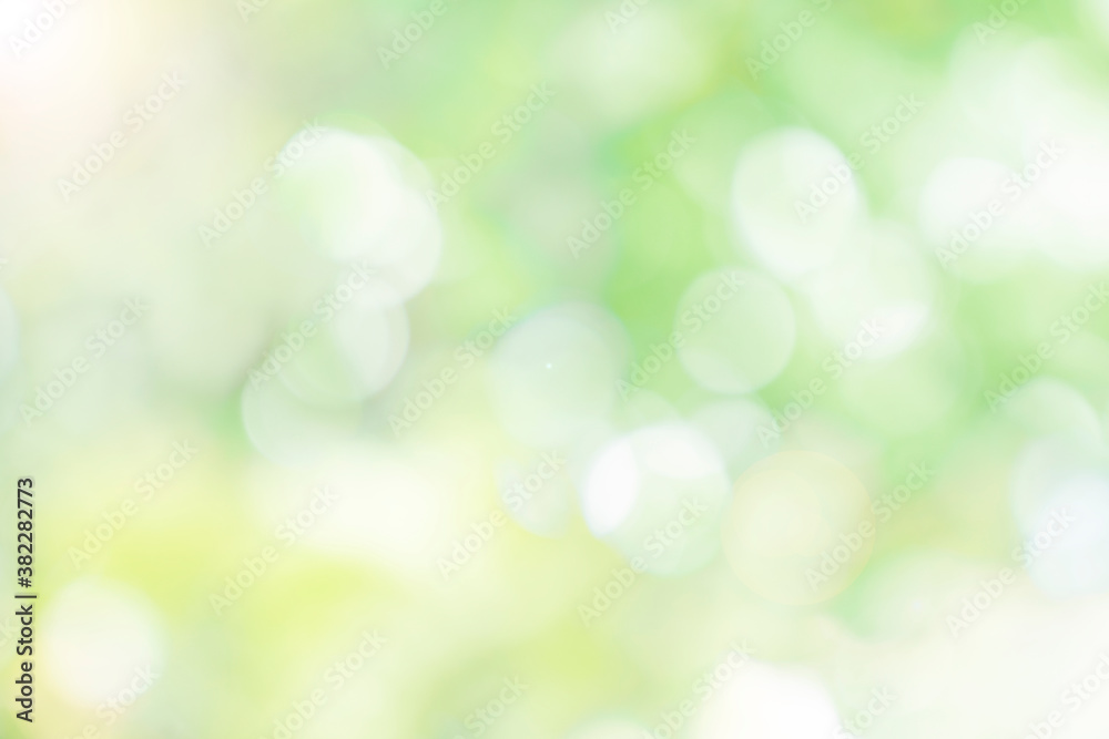 Abstract blurred defocus natural green bokeh background, Soft natural bokeh style For aesthetic creative design Abstract blurred defocus natural green bokeh background, Soft natural bokeh style For aesthetic creative design