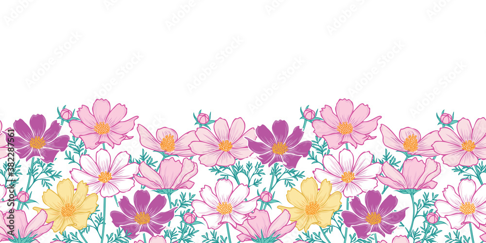 Floral seamless pattern with cosmos flower.Horizontal Border.hand drawing flower on white background design. Floral seamless pattern with cosmos flower.Horizontal Border.hand drawing flower on white background design.