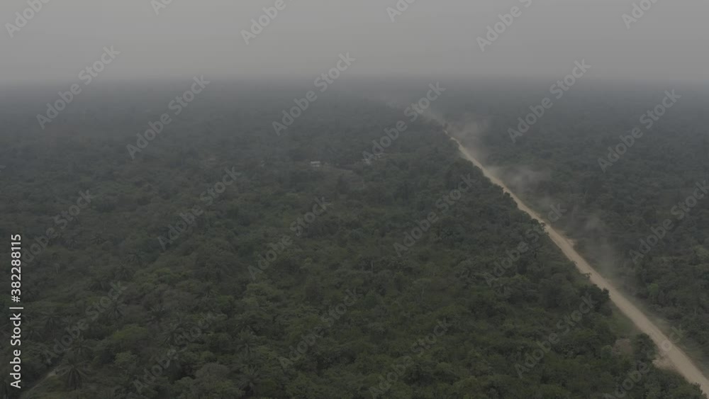 Aerial flyover shot of long dirt road in the middle of tropical palm forest Aerial flyover shot of long dirt road in the middle of tropical palm forest
