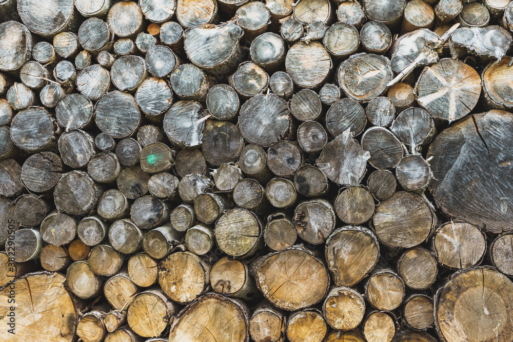 eine große Menge natur braunes Stapel Holz in der Frontansicht eine große Menge natur braunes Stapel Holz in der Frontansicht