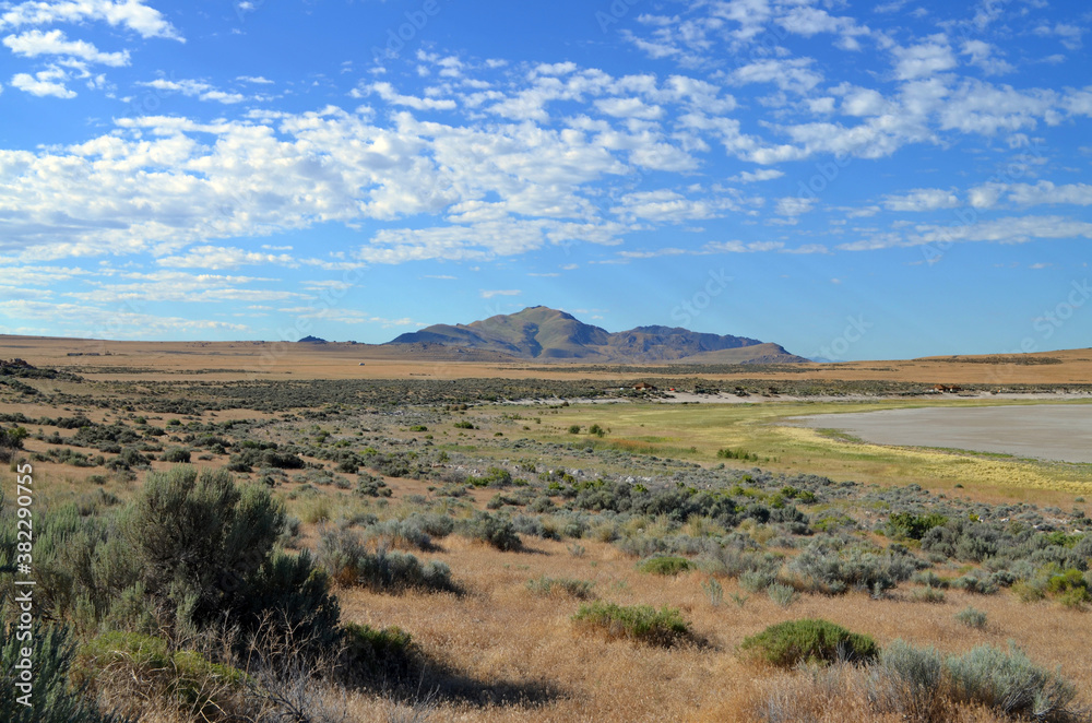 Utah - Great Salt Lake Antelope Island Utah - Great Salt Lake Antelope Island