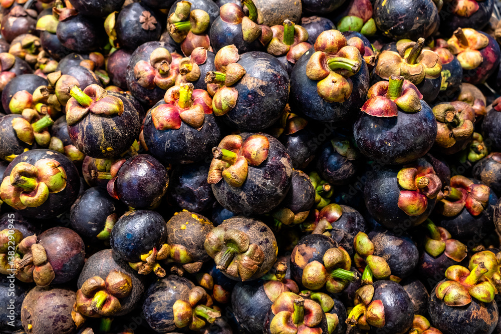 Pile of fresh purple mangosteens, queen of fruit, in local market.
Pile of fresh purple mangosteens, queen of fruit, in local market.