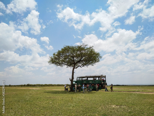 Safari in Kenya and Tanzania. Masai-Mara, Serengeti, Ngorongoro,